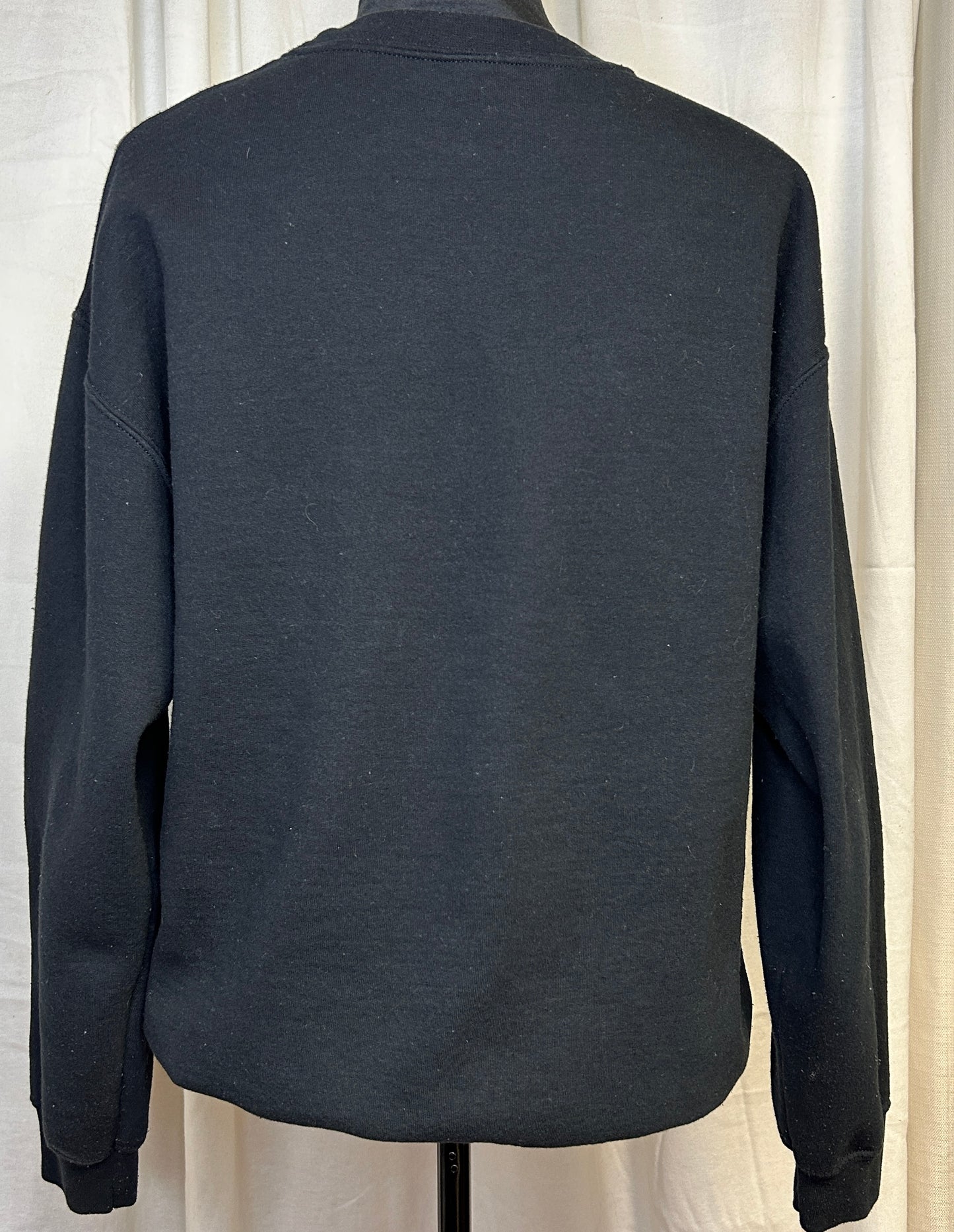Looney Tunes Tune Squad Sweatshirt Bugs Bunny Taz Daffy Black Medium