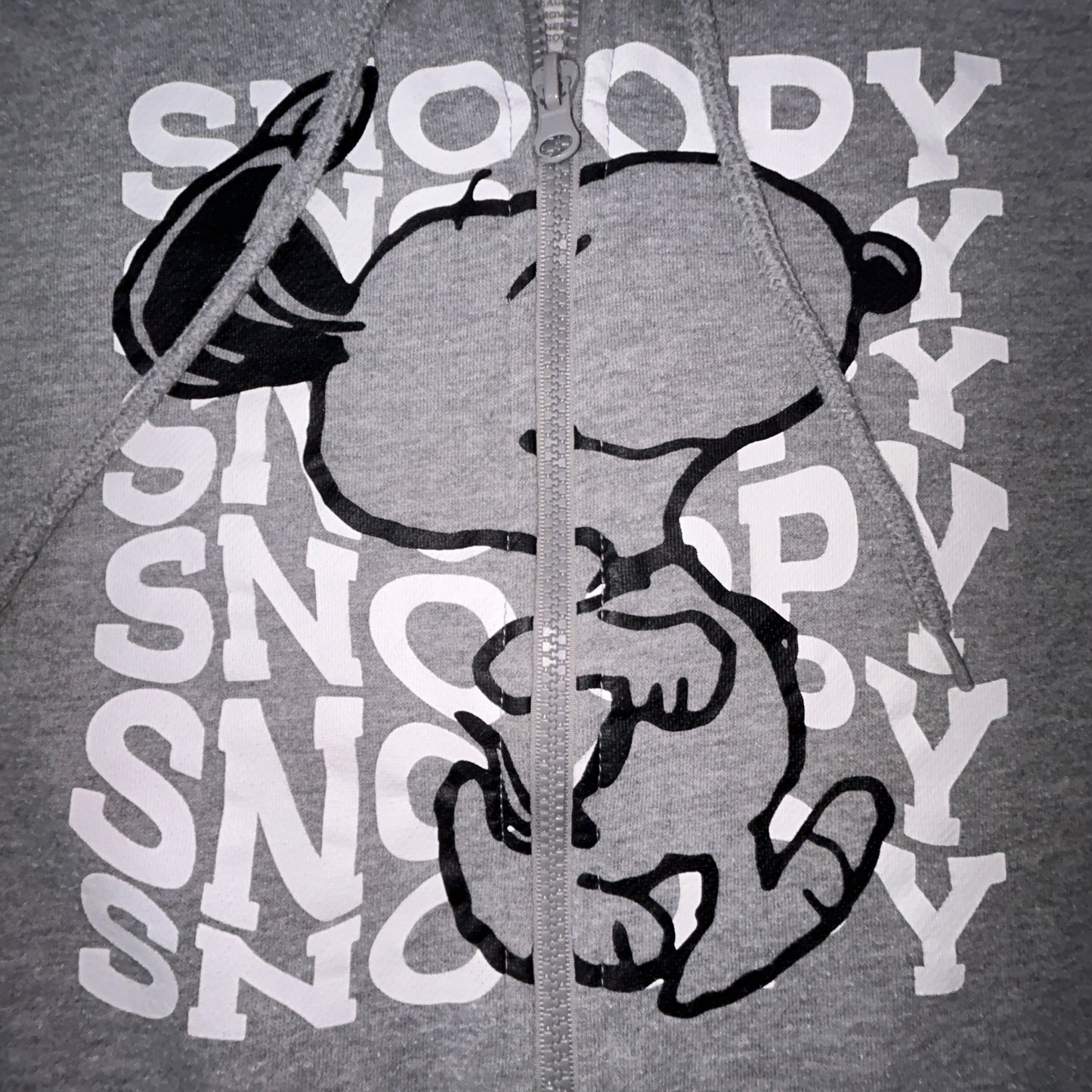Peanuts Snoopy Full Zip Hoodie Sweatshirt Gray Size Small Fleece Lined Graphic